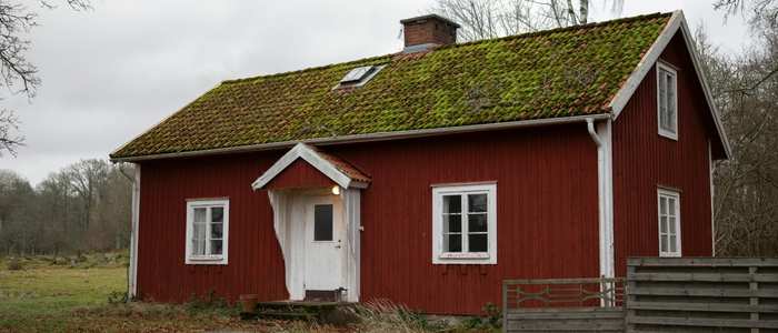 How to Remove Moss from Roof​